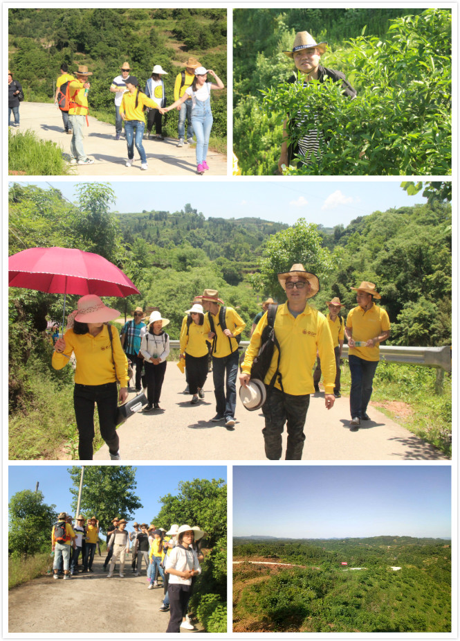 2017051503edp.jpg